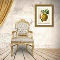 thumbnail image 3 of Unknown 19x24 Gold Ornate Wood Framed with Double Matting Museum Art Print Titled - Fruit of the Tropics VIII, 3 of 4