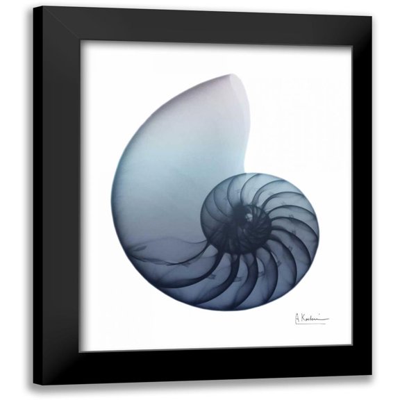 Koetsier, Albert 12x14 Black Modern Framed Museum Art Print Titled - Lavender Snail 4