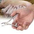 thumbnail image 4 of Pinzas Para Dientes De Cerdo, Cortadoras De Dientes De Cerdo Que Ahorran Mano De Obra Para Herramientas Quirúrgicas Para Dentistas, 4 of 7