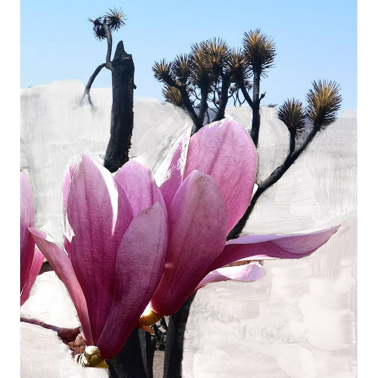 Byredo Mojave Ghost Unisex Perfume Eau De Parfum Spray 50ml