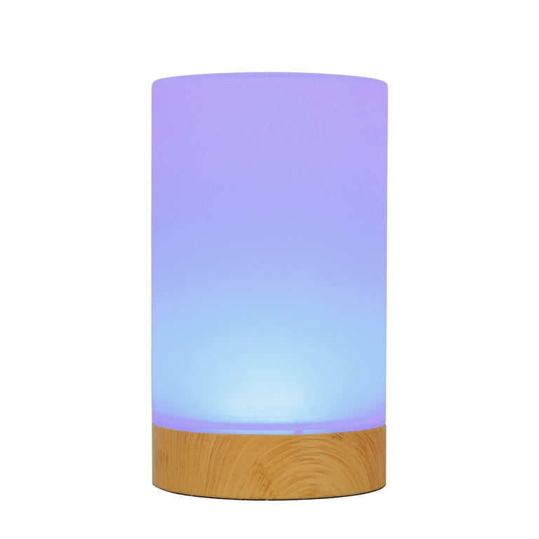 NBG Friendship LED Color Changing Table Lamp with AC Cord Touch Control Wifi Synchronize Light Set