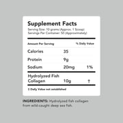 Amandean Marine Collagen Powder, Unflavored, 17.6 Oz | Wild-Caught Hydrolyzed Fish Collagen Peptides | Type 1 & 3 Protein Supplement