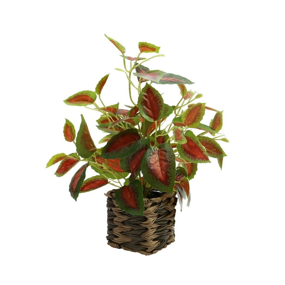 Nature's Mark 16’’H Artificial Algaonema Pink Valentine Plant in Woven Planter