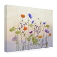 thumbnail image 4 of Catherine W 'Poppy A Anemone' Canvas Art, 4 of 4