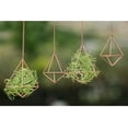 thumbnail image 4 of Hanging Air Plant Holder Himmeli Geometric Planter Metal Airplant Rack Tillandsia Hanger (without Chain) in Modern Rustic Art Style for Home Decor, 4 of 7