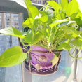 thumbnail image 2 of Hanging Railing Planter Baskets Flower Pot Holder Hanger Iron Potted Plants Rack Bronze, 2 of 7