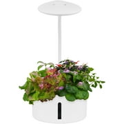 Lagute Hydroponics Growing System, Indoor Herb Garden with Grow Light, Germination Kit with Pump System & Smart Grow Modes, Automatic Timer, Height Adjustable,Visual Window (White, 6 Pods