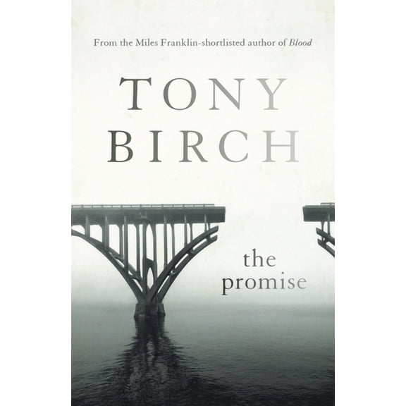 The Promise (Paperback)