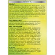Garnier Nutrisse Nourishing Hair Color Creme, Dark Brown [40] 1 Each - (Pack of 4)
