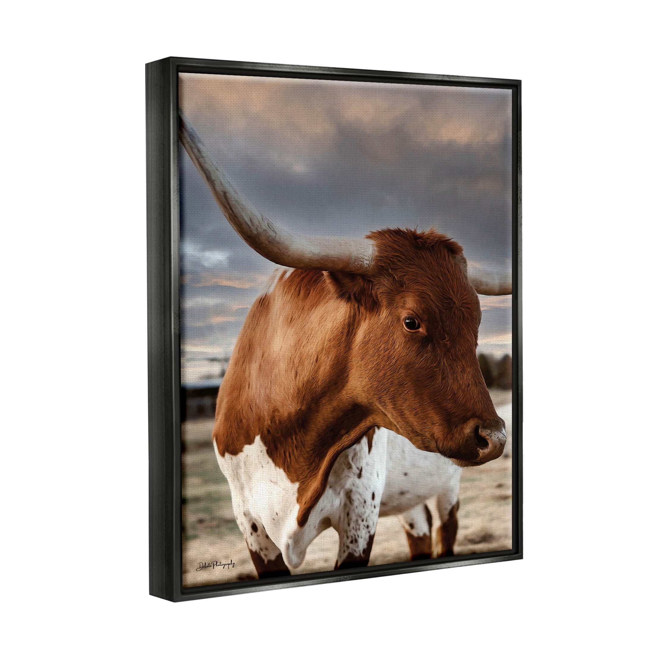 Stupell Industries Rural Farm Cattle Cloudy Ranch Sky Photograph Jet Black Floating Framed Canvas Print Wall Art, Design by Dakota Diener