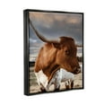 thumbnail image 3 of Stupell Industries Rural Farm Cattle Cloudy Ranch Sky Photograph Jet Black Floating Framed Canvas Print Wall Art, Design by Dakota Diener, 3 of 6