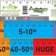Release Ruler Striped Bass