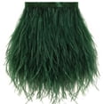 thumbnail image 1 of Avestruz con ribete de plumas, 1,5 capas, verde negruzco, 10-13 cm, 1 of 6