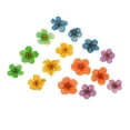 thumbnail image 1 of Flores prensadas Sunnimix 15 piezas decoración del hogar multicolor 8 mm, 1 of 8