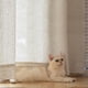 thumbnail image 5 of Cortinas Jinchan, mezcla de lino, color beige, 244 cm de largo, 2 paneles, 5 of 7
