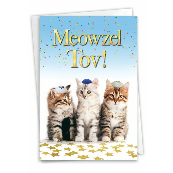 NobleWorks Funny 13th Bar Mitzvah Paper Card with 5 x 7 Inch Envelope (1 Card) Jewish 13th Milestone Card Meowzel C10135JBG