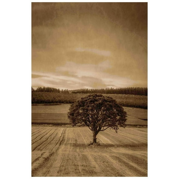 Marmont Hill Mh-Mww-Scwtz-100-C-30 30" X 20" "Lone Tree At Sunset" Giclee Art Print On