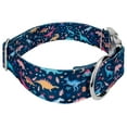 thumbnail image 6 of Country Brook Petz® 1 1/2 inch Premium Dinosaurs Dog Collar, Medium, 6 of 7