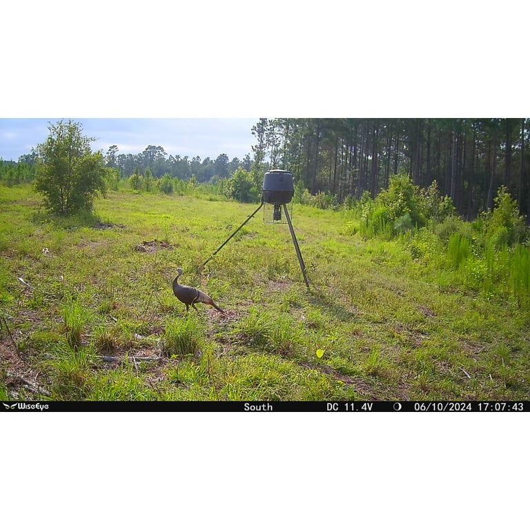 WiseEye Mini Cam Trail Camera Wise Eye MiniCam MulitCarrier