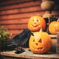 thumbnail image 4 of Generic Crow Bird Decoy Figurine Realistic Life Size Artificial Prop Black, 4 of 6