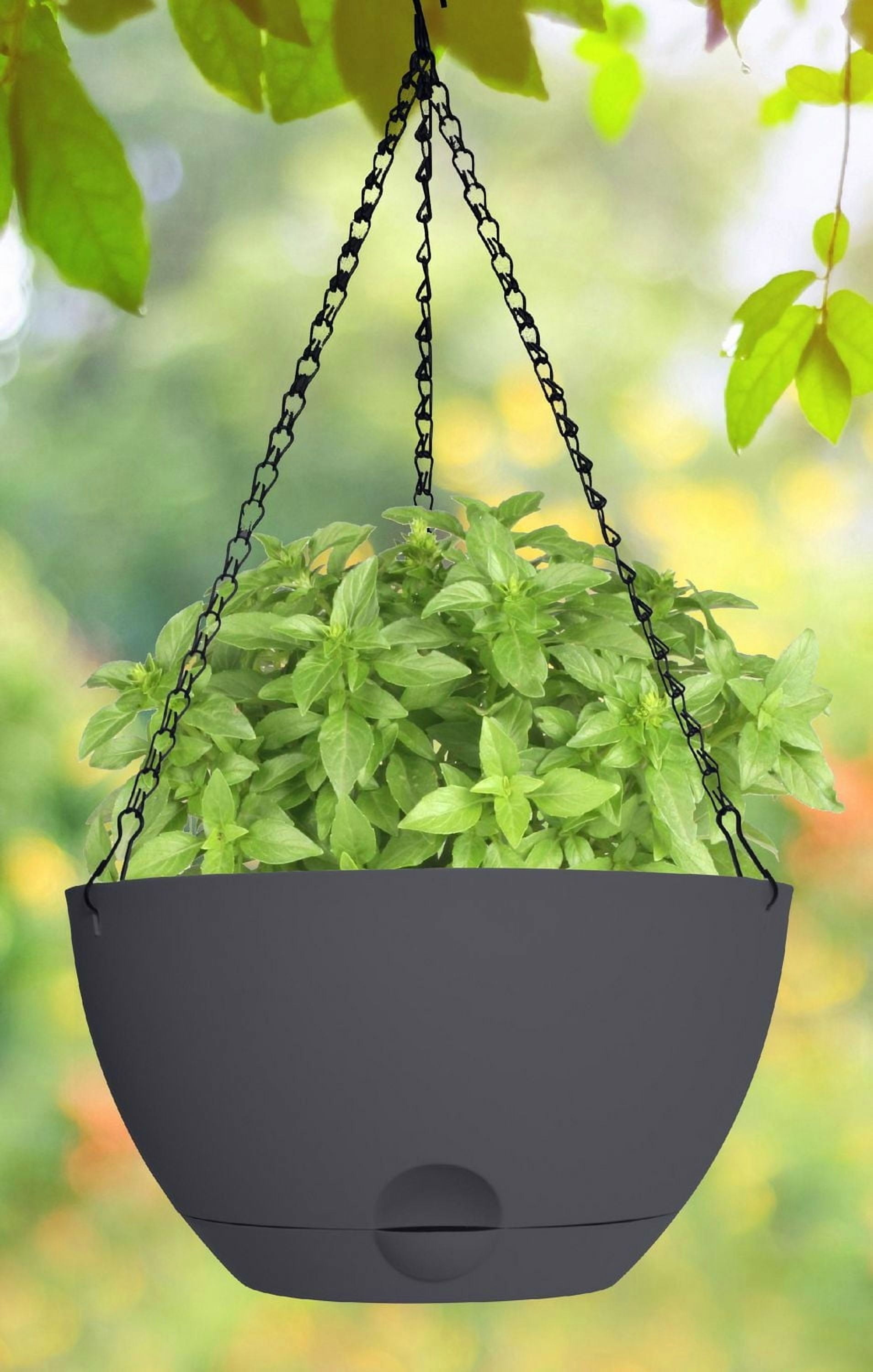 12IN auto-arrosage PLANT SPA-GRISE