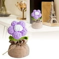 thumbnail image 2 of Handmade Crochet Flower Pot | Colorful Puff Flowers for Home & Car Decor | Unique Gift for Valentine's Day, Mother's Day & Teacher Appreciation | Cute Knitted Office Decoration, 2 of 8