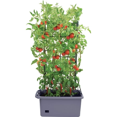 Herb Garden Ideas For Patio Frame It All Patio Ideas - 29.5
