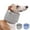 Gray, variant on Duuclume Dog Neck Brace After Surgery, E-Collar & Cone Collar Alternative for Dogs (Blue,S)