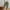 Army Green, variant on Linen Athletic Shorts for Women Workout Gym Shorts Loose Bermuda Shorts Trendy Causal Short Pants with Pockets