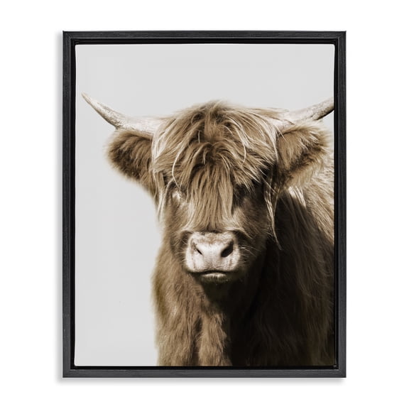 Stupell Industries Rustic Lodge Highland Cattle Close-Up Black Floating Frame Canvas Art, 17 x 21, by Danita Delimont