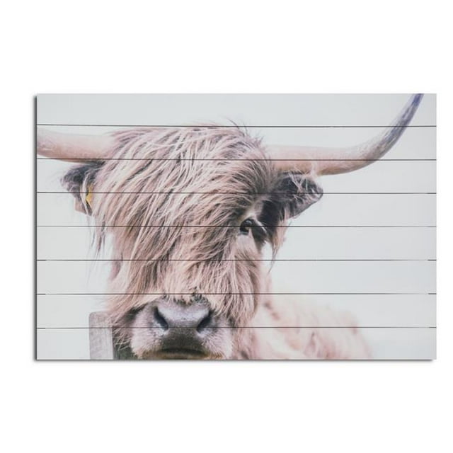 HomeRoots 401646 Adorbale Highland Cow Wood Plank Wall Art, Multi Color