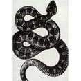 thumbnail image 6 of nuLOOM Thomas Paul Serpent Area Rug, 8' 10" x 12', Serpent Black & Off-white, 6 of 9
