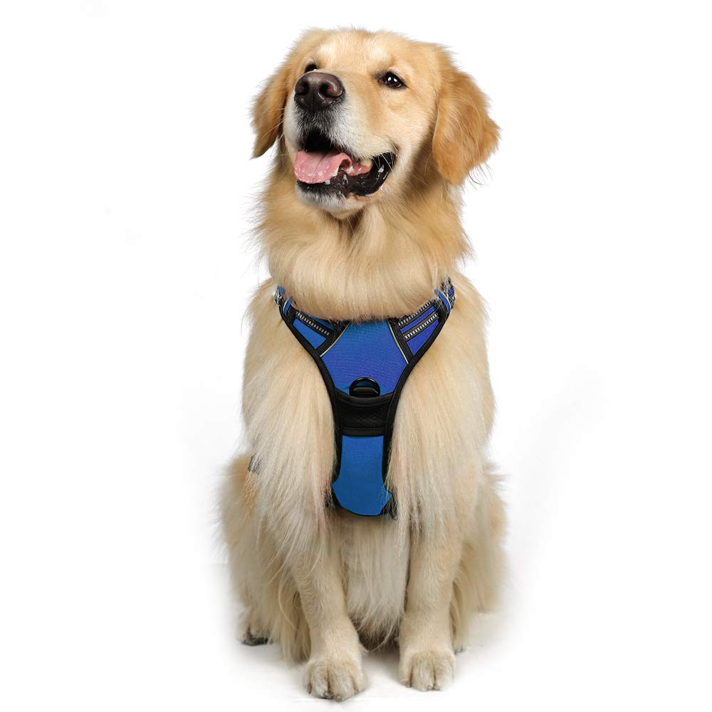 Rabbitgoo Dog Harness NoPull Pet Harness Adjustable Safe Comfort