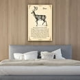 thumbnail image 3 of Deer Quotes Wall Art Knowledge Poster Vintage Animal Wall Art Infographic Poster For Room Giclee Print Canvas Unframed 16×24 in, 3 of 5