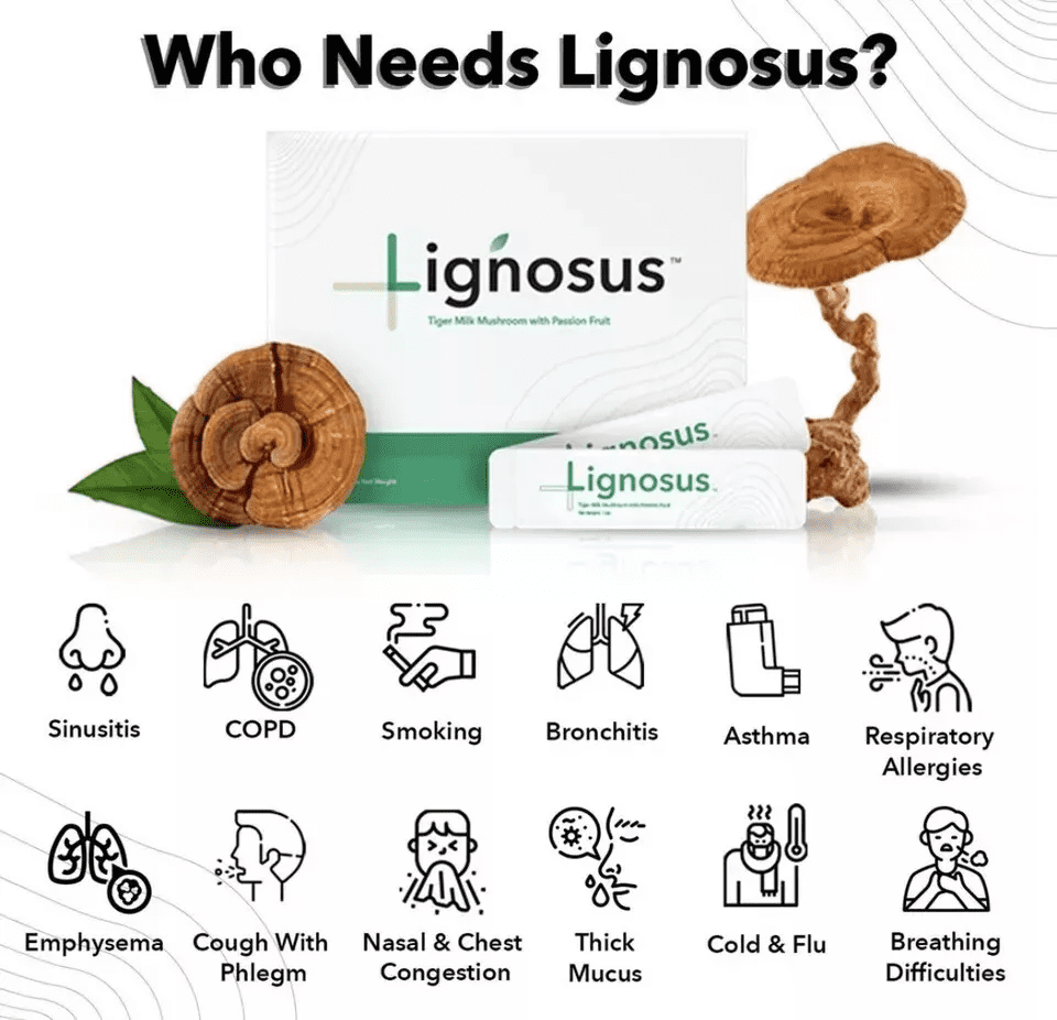 Lignosus the Best Natural Lung Supplement Organic Tiger Milk Mushroom - 30 Sachet Box