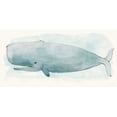 thumbnail image 2 of Miller, Sara Zieve 24x14 White Modern Wood Framed Museum Art Print Titled - Sea Life V, 2 of 4