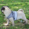 thumbnail image 1 of 1pc Arnés transpirable para perros Chaleco de malla de poliéster Correa Correa para el pecho para mascotas (Gris Tmvgtek Para estrenar, 1 of 6