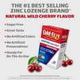 ColdEEZE Cold Remedy Zinc Lozenges, Natural SugarFree Wild Cherry, 25