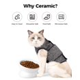 thumbnail image 4 of Cuenco elevado de comida para gatos LoeJan, cerámica, 150 ml, para perros pequeños, 4 of 7