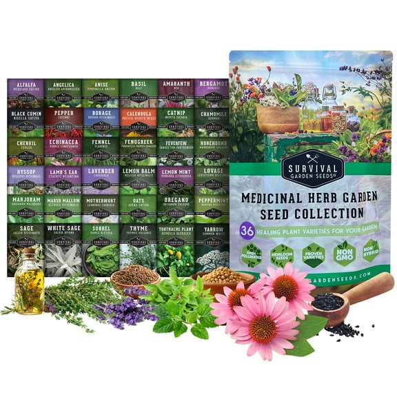 Medicinal Herb Seed Collection — 36 Healing Heirloom Varieties, Perennial
