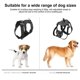 thumbnail image 5 of Adjustable Sports Camera Holder Strap for 12 11 10 9 8 7 6, 5 of 5