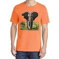 thumbnail image 2 of Wild Bobby, Wild African Forest Elephant Nature, Animal Lover, Garment-Dyed Washed Look Short Sleeve T-Shirt, Neon Orange, X-Large, 2 of 3