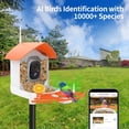 thumbnail image 4 of Smart Bird Feeder with Camera, AI Identify Bird Breed, Solar-Powered WiFi FHD 2K Live Camera, Auto Capture Backyard Garden Bird Watching, IP65,Motion Detection, Cloud and SD Card Storage, 4 of 14
