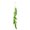 Green, variant on Faux Vegetable String Hanging Decor, Realistic Foam Pepper or Fish Wall Ornament, Farmhouse Style Kitchen Accent for Restaurant, Home and Photography Prop(Green)