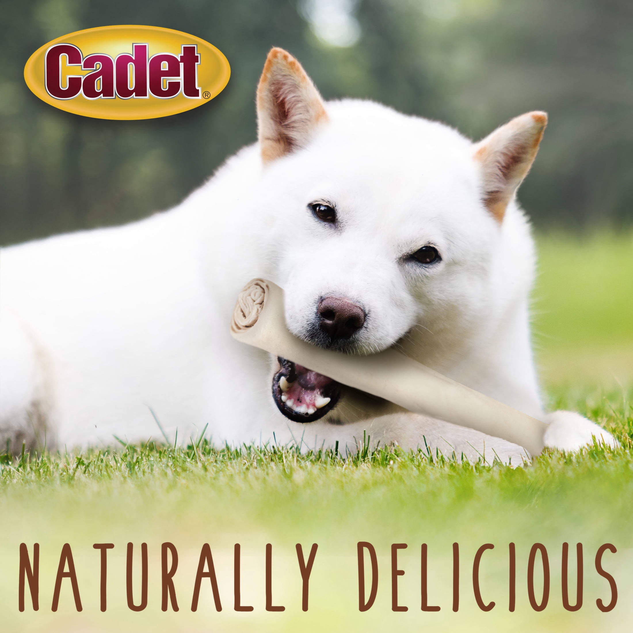 Cadet Rawhide Retriever Rolls Dog Bones for Large Dogs, Single Ingredient Dog Treats, 10 Inch, 1 Count