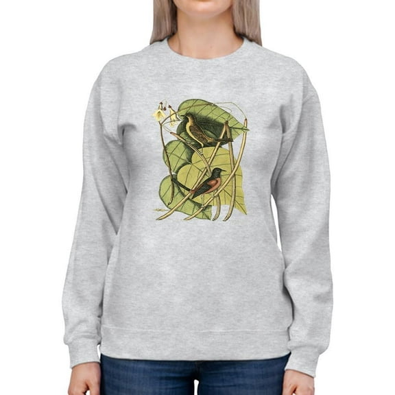 Baltimore Bird. Catalpah Sweatshirt Women -Mark Catesby Designs, Female XX-Large