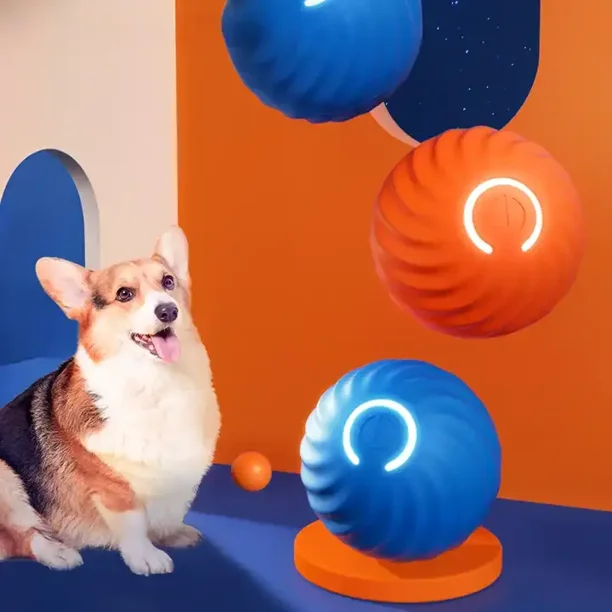 Dog toy moving ball hotsell