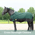 thumbnail image 3 of Resistance 1200D Horse Turnout Blanket, 300g Polyfill, Waterproof, Winter, [Size], Adjustable Buckle Closure, 3 of 6