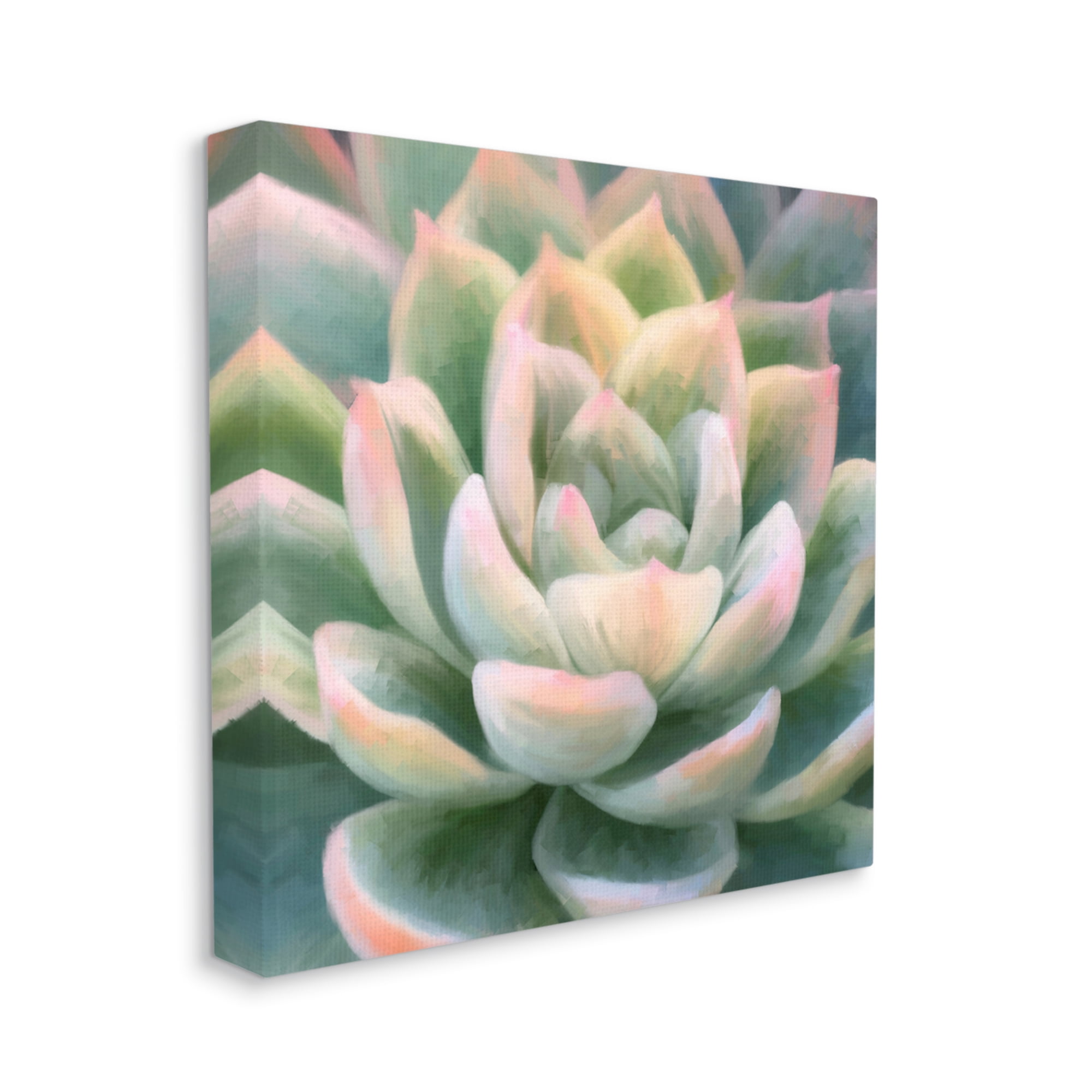 Stupell Industries Green Succulent Petals Botanical & Floral Painting Gallery Wrapped Canvas Print Wall Art, 24 x 24