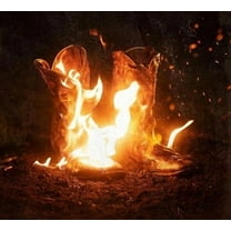 Ben Fuller - Walk Through Fire - Music & Performance - Vinyl